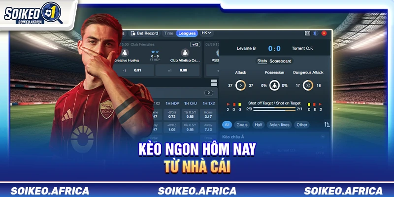 Kèo Ngon Hôm Nay: Cách Lọc Tỷ Lệ & Biến Động Odds Tổng Hợp Soi Kèo Các Trận Hot Hôm Nay