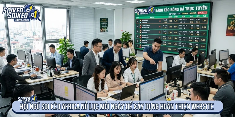 Quy trình tổng hợp và đối chiếu dữ liệu bóng đá