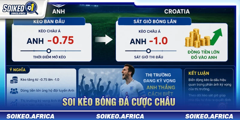 Kèo Bóng Đá Hôm Nay: Handicap, 1X2 & Tài Xỉu Minh họa cách đọc handicap trong kèo bóng đá hôm nay
