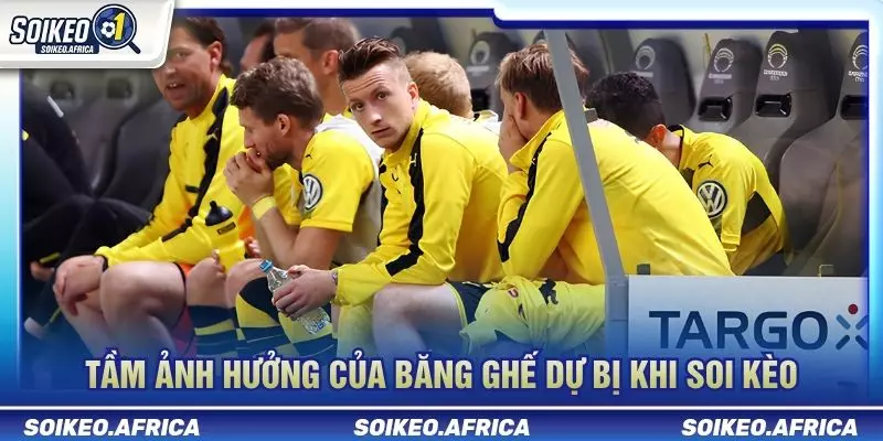 Băng ghế dự bị khi tin đội hình trước trận ảnh hưởng kèo