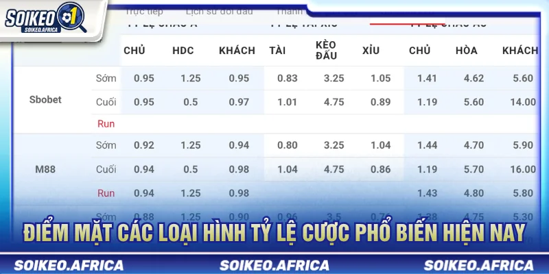Soi Kèo Là Gì? Cách Phân Tích Dữ Liệu Bóng Đá Trước Trận Các nhóm tỷ lệ phổ biến khi tìm hiểu soi kèo là gì