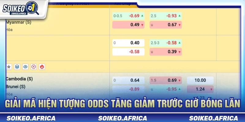 Odds Kèo Bóng Đá Là Gì? Cách Đọc Odds & Biến Động Odds kèo bóng đá là gì khi odds tăng và giảm
